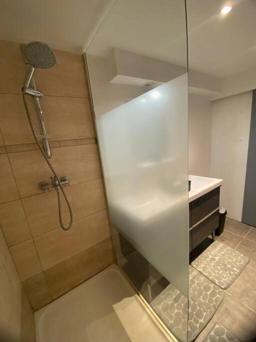 Le Jardin Suspendu Apartment Rillieux-la-Pape Exterior photo